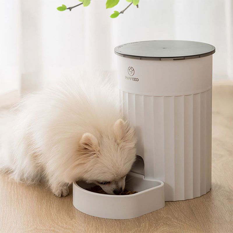 Cat Automatic Intelligent Pet Feeder Pet feeder