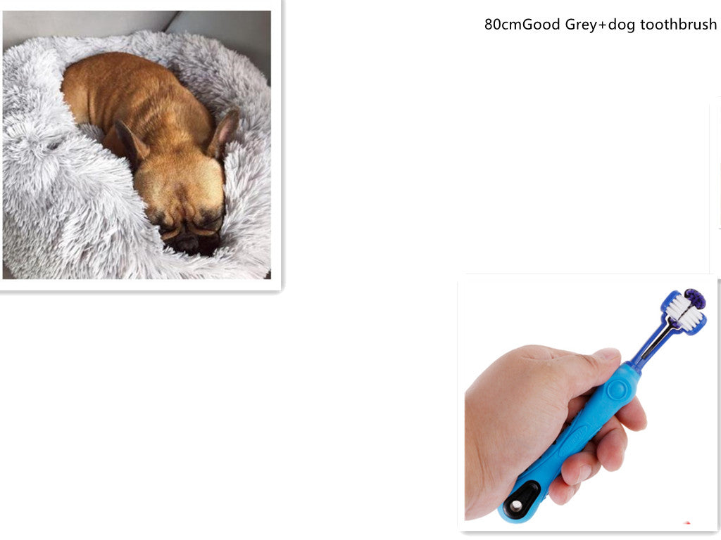 Random color toothbrush for pet Pet brush