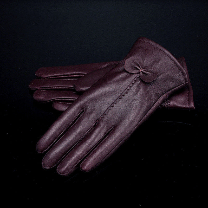 Woman Gloves apparels & accessories