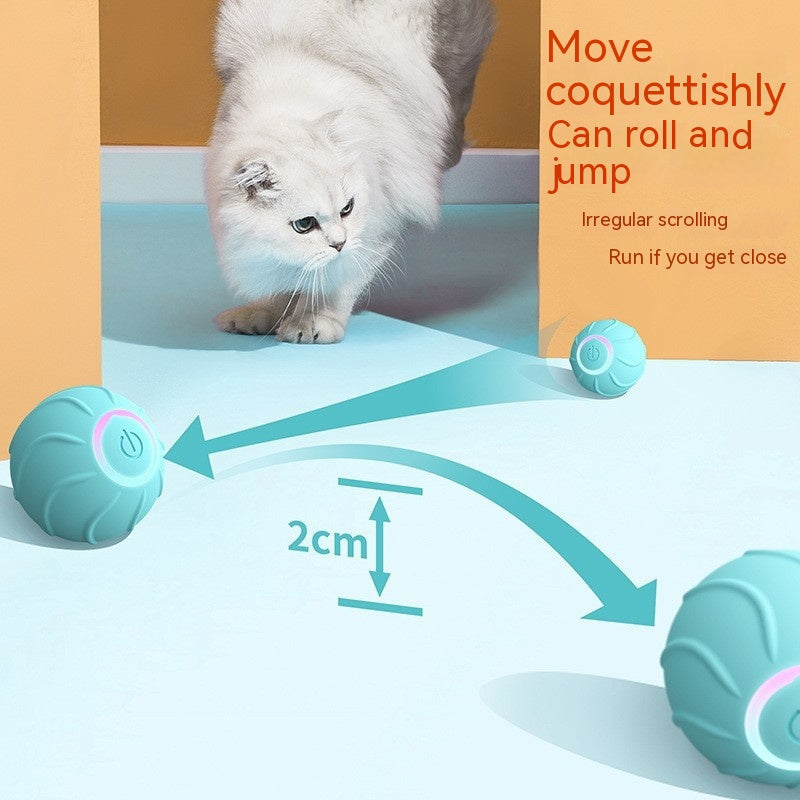 Smart Cat Toys Rolling Ball pet toys