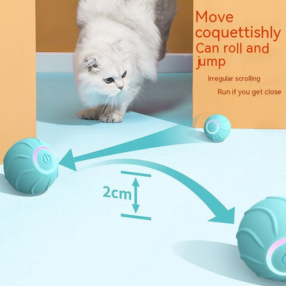 Smart Cat Toys Rolling Ball pet toys