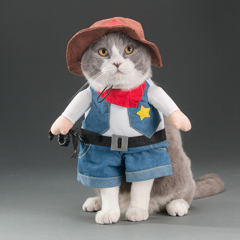 autumn pet cat costume halloween