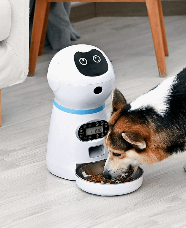 Automatic pet feeder Pet feeder