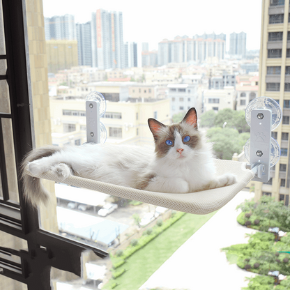 Cat Glass Hammock Pet bed