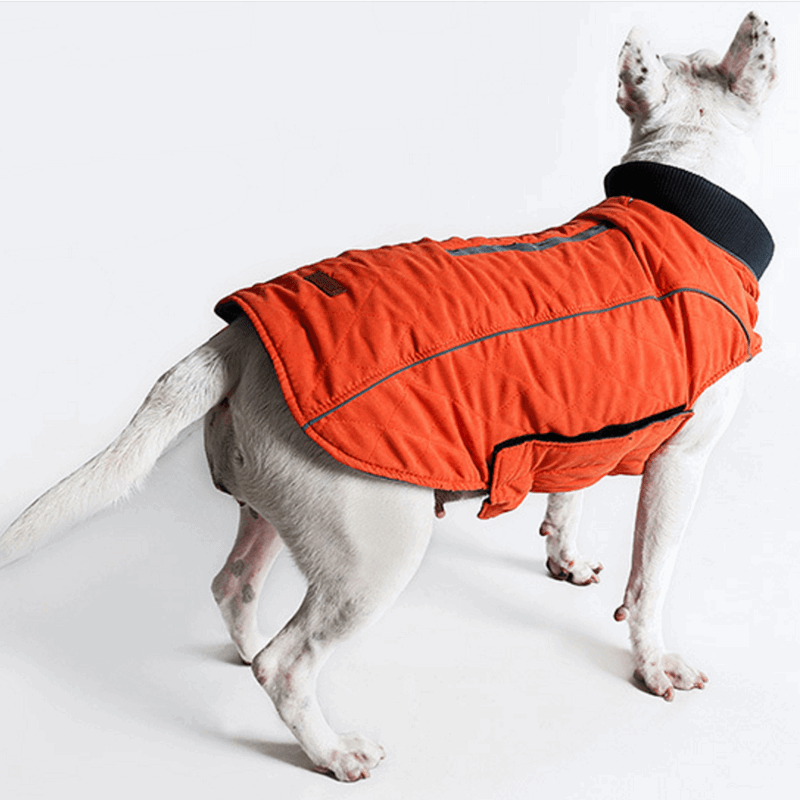 Pet Thermal Jacket Vest Dog jacket