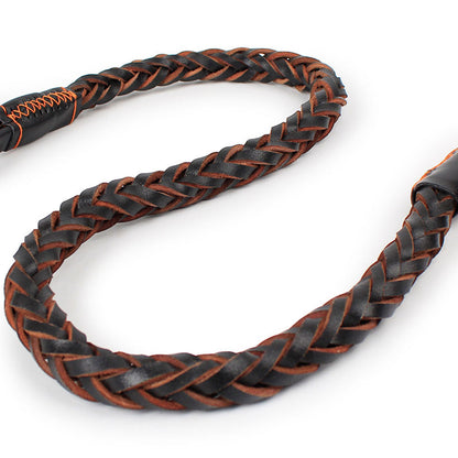 Pet Eight-strand Cowhide Spring Traction Rope pet Leash