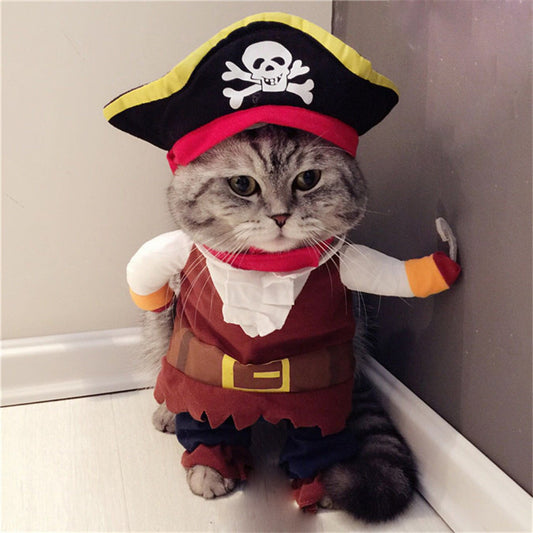 Teddy Pirate Transformed Pet Costume halloween