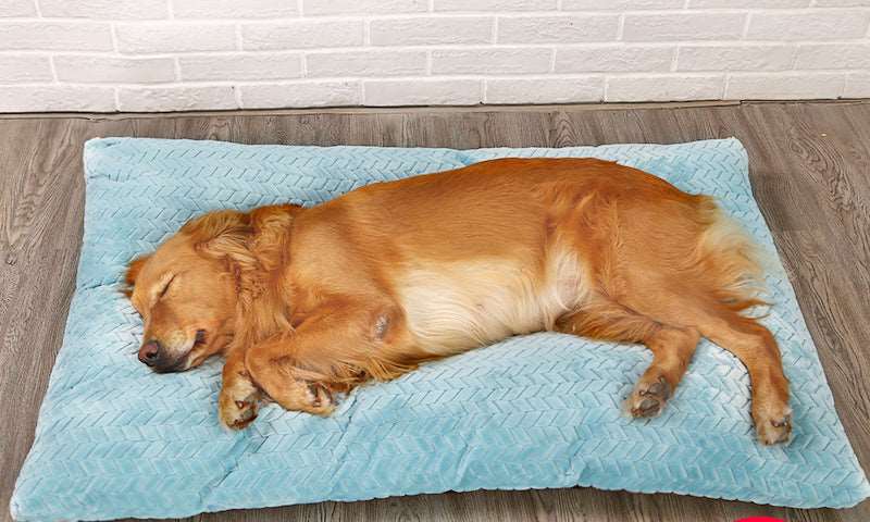 Long Warm Dog Bed Quilted Base Pet bed