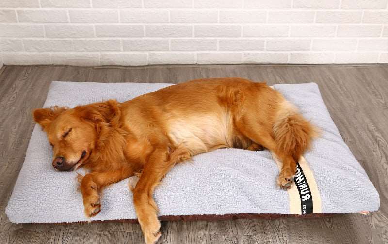 Long Warm Dog Bed Quilted Base Pet bed