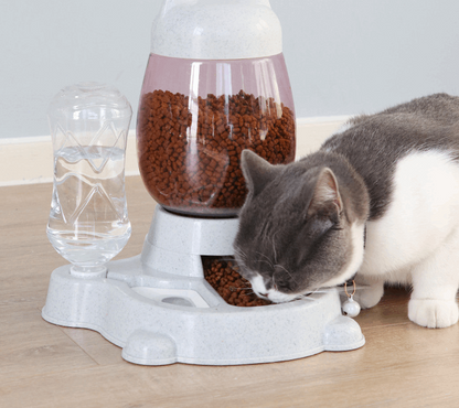 Automatic Water Dispenser Cat Food Bowl Pet feeder