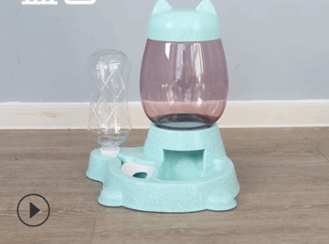 Automatic Water Dispenser Cat Food Bowl Pet feeder