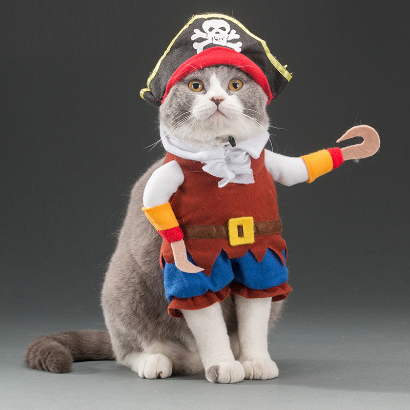 autumn pet cat costume halloween