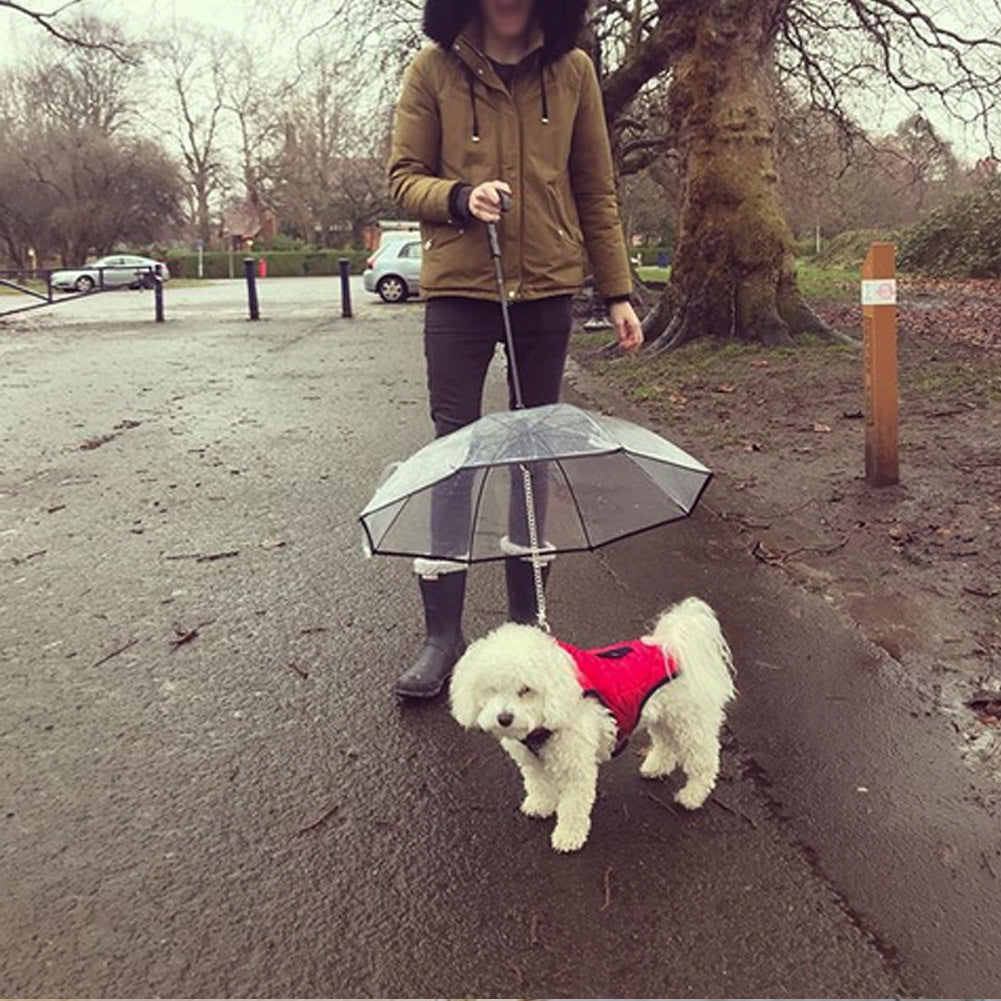 Transparent Pet Umbrella Dog Leash