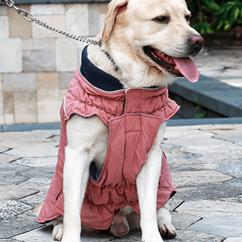 Pet Thermal Jacket Vest Dog jacket