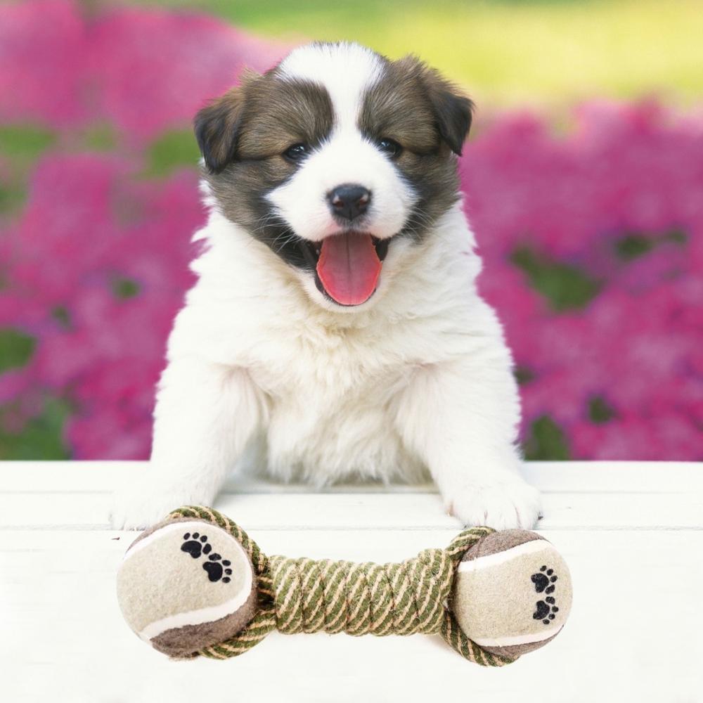 Pet Dog Toys For Large Small Dogs pet toys