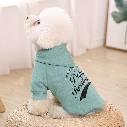 clothes for pets pet cloths