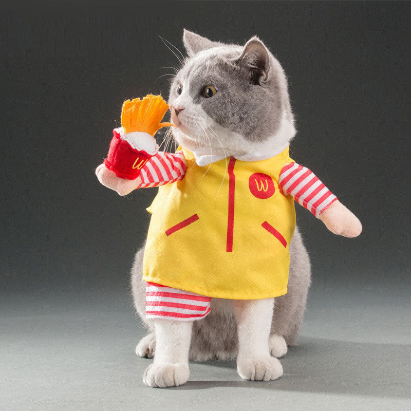 autumn pet cat costume halloween