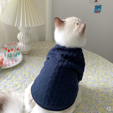 Warm And Cute Clothes For Pets pet cloths