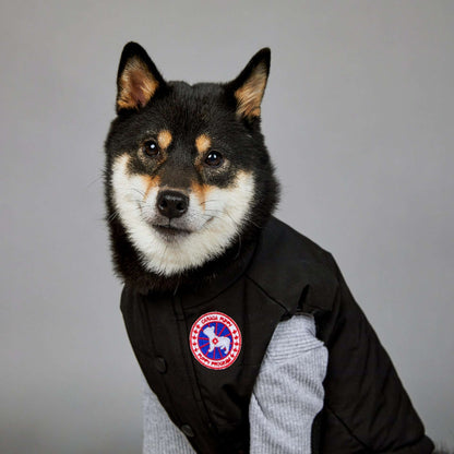 Large Dog Winter Warm Pet Vest pet cloths