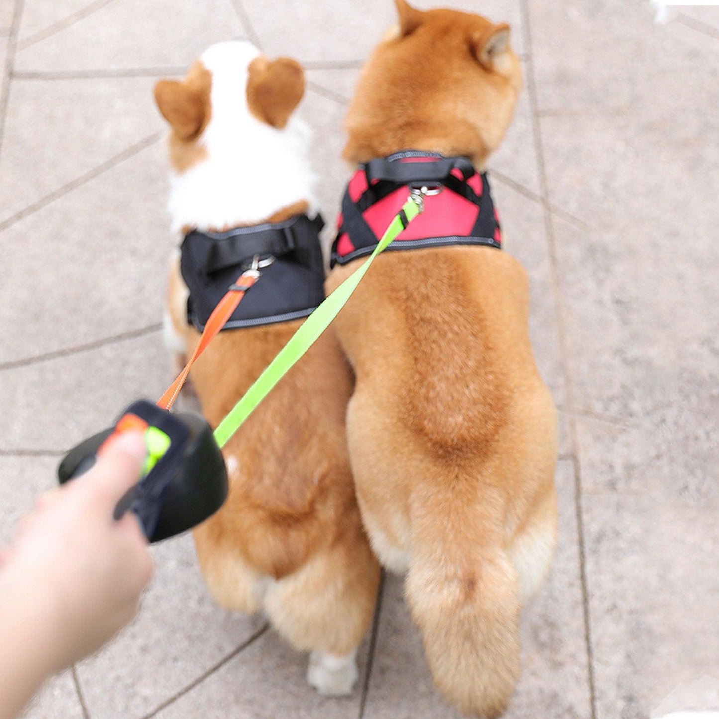 Pet Leash Dog Double Head Rope Multicolor Dog Leash