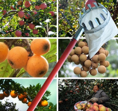 Metal fruit picker Agricultural garden hardware tools Fruit picker / picking fruit tools HOME