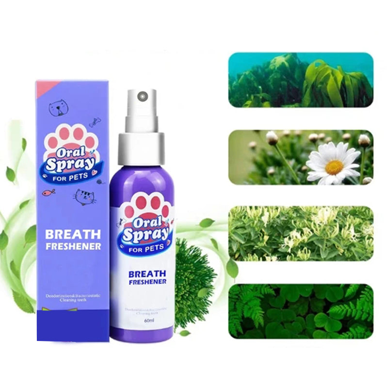 Pet Deodorant Tooth Cleaning Spray Pet Products