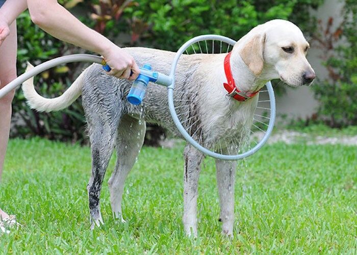 Fully automatic 360 degree pet bath ring Pet Bath product