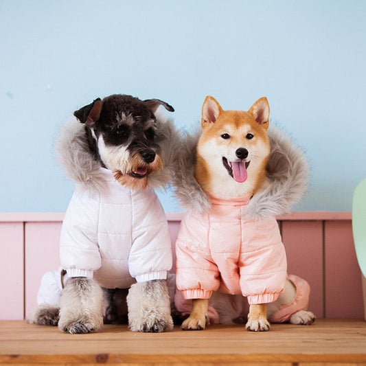 Pet dog clothes pet cloths