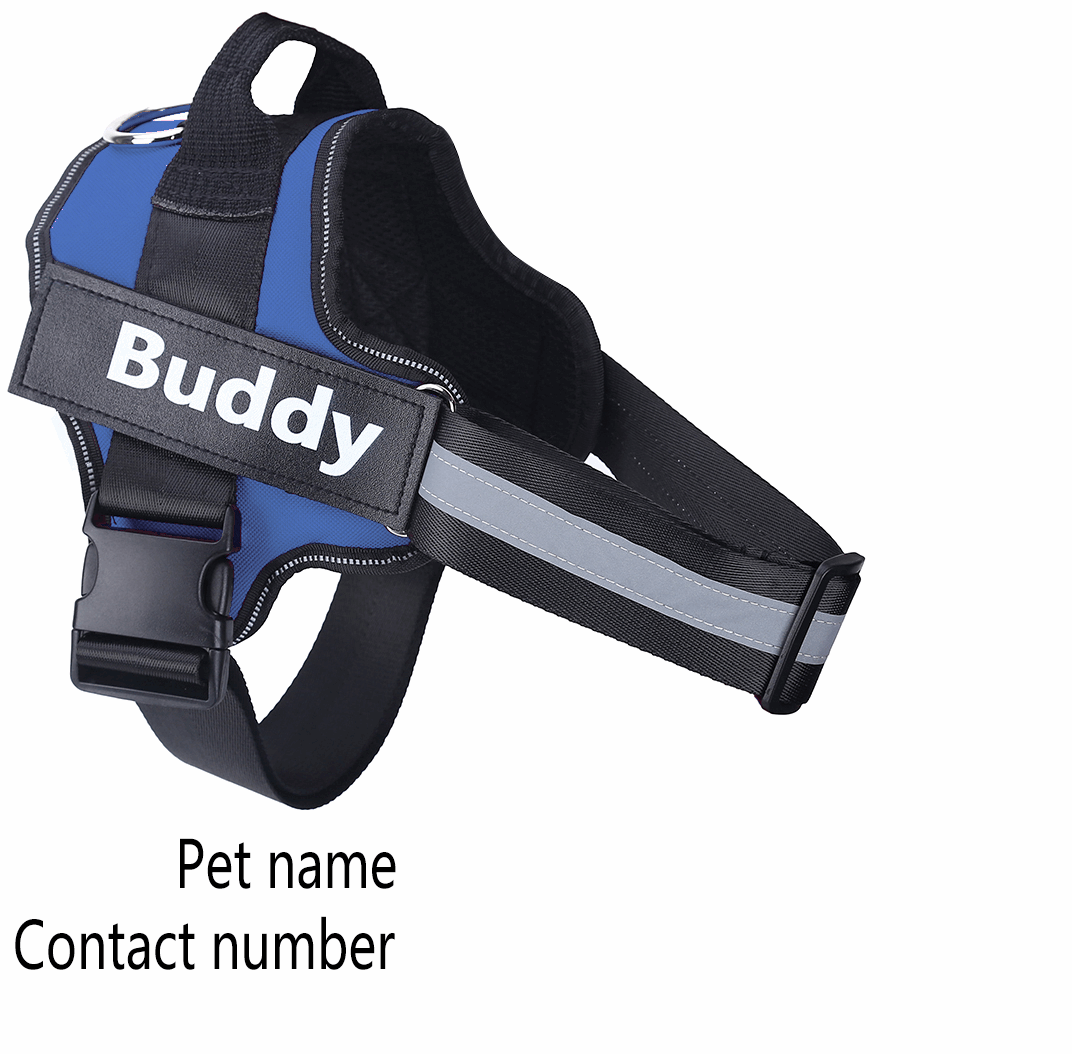 Personalized Dog Harness Reflective Breathable Dog Harness