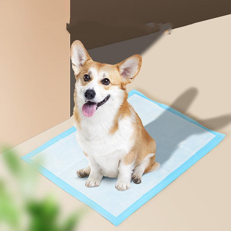 Pet Hygiene Absorbent Dog Pad pet cloths