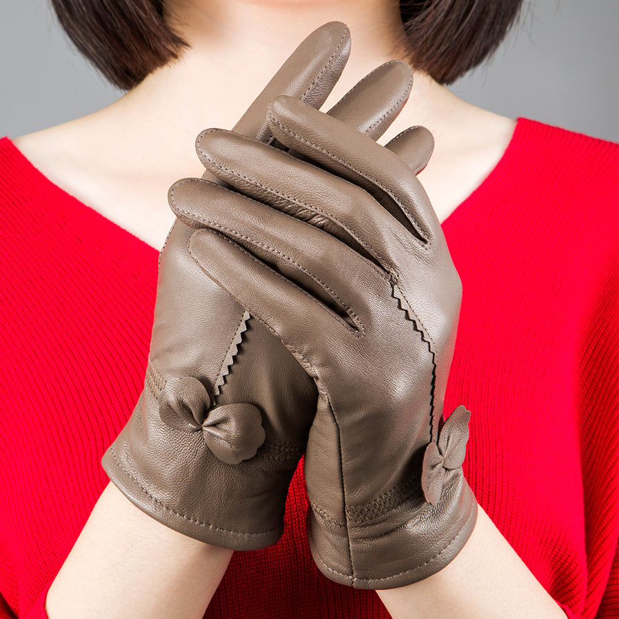 Woman Gloves apparels & accessories