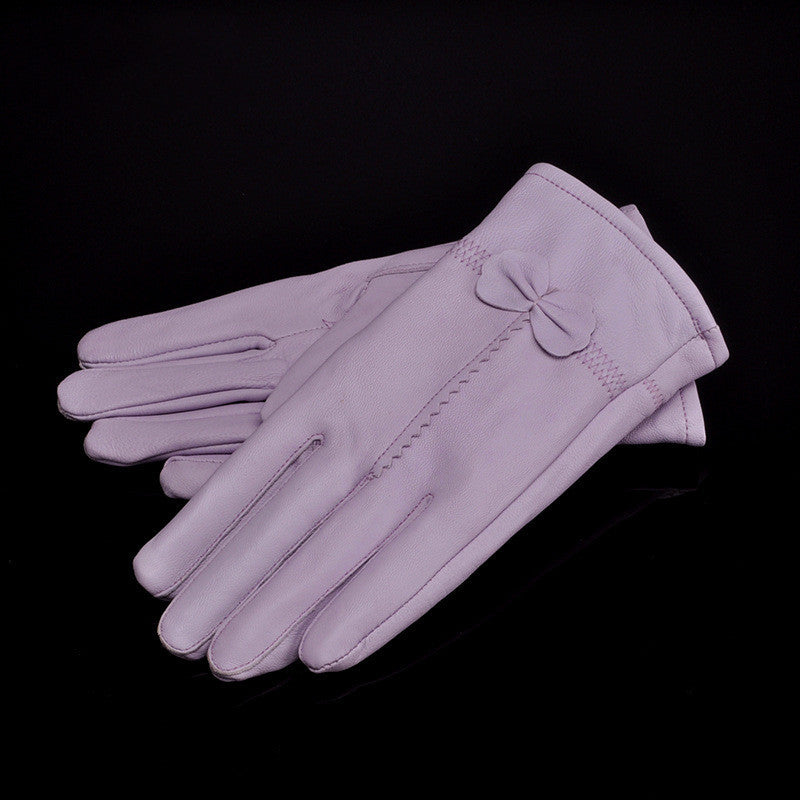 Woman Gloves apparels & accessories