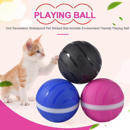 Pet Toy Ball Led Rolling Flash Ball Pet Products