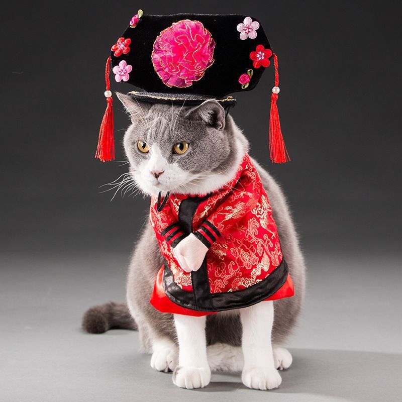 autumn pet cat costume halloween