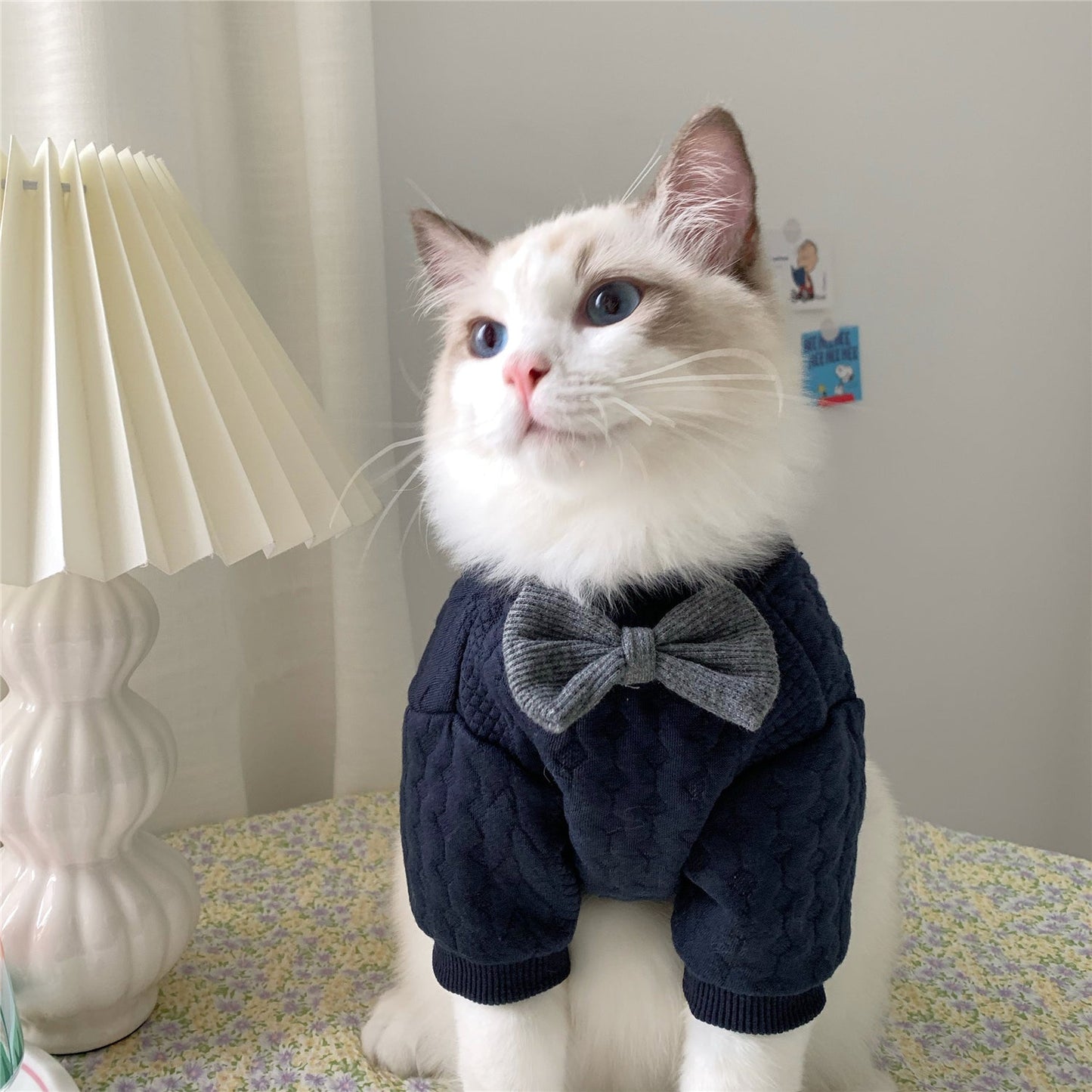 Warm And Cute Clothes For Pets pet cloths