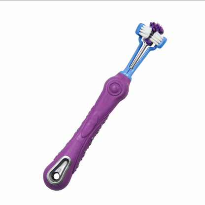 Random color toothbrush for pet Pet brush