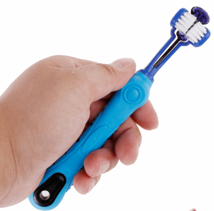Random color toothbrush for pet Pet brush