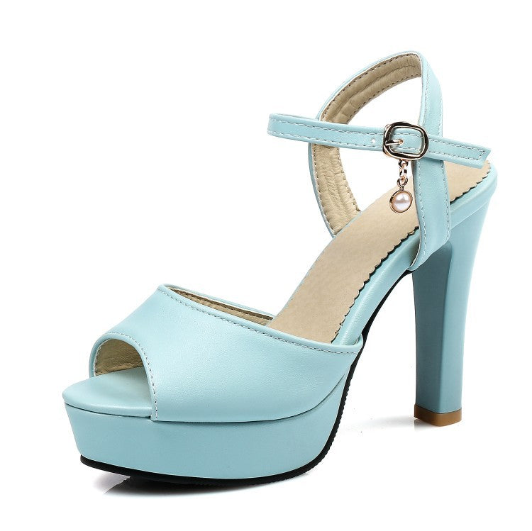 Stiletto Heel Platform Buckle Peep Toe Sandals Shoes & Bags