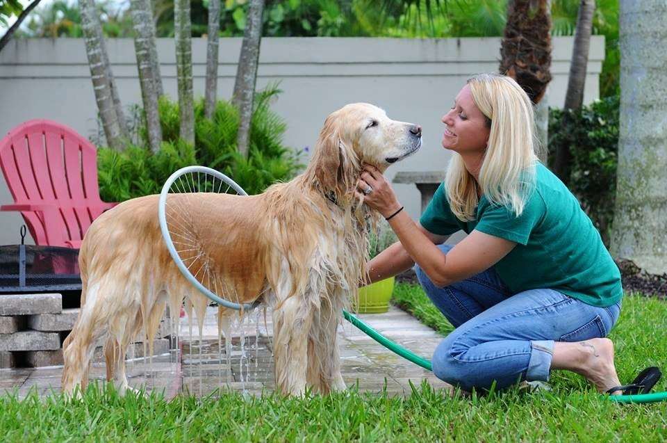 Fully automatic 360 degree pet bath ring Pet Bath product