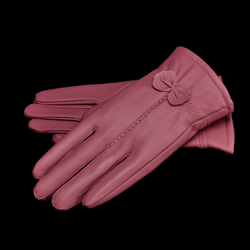 Woman Gloves apparels & accessories