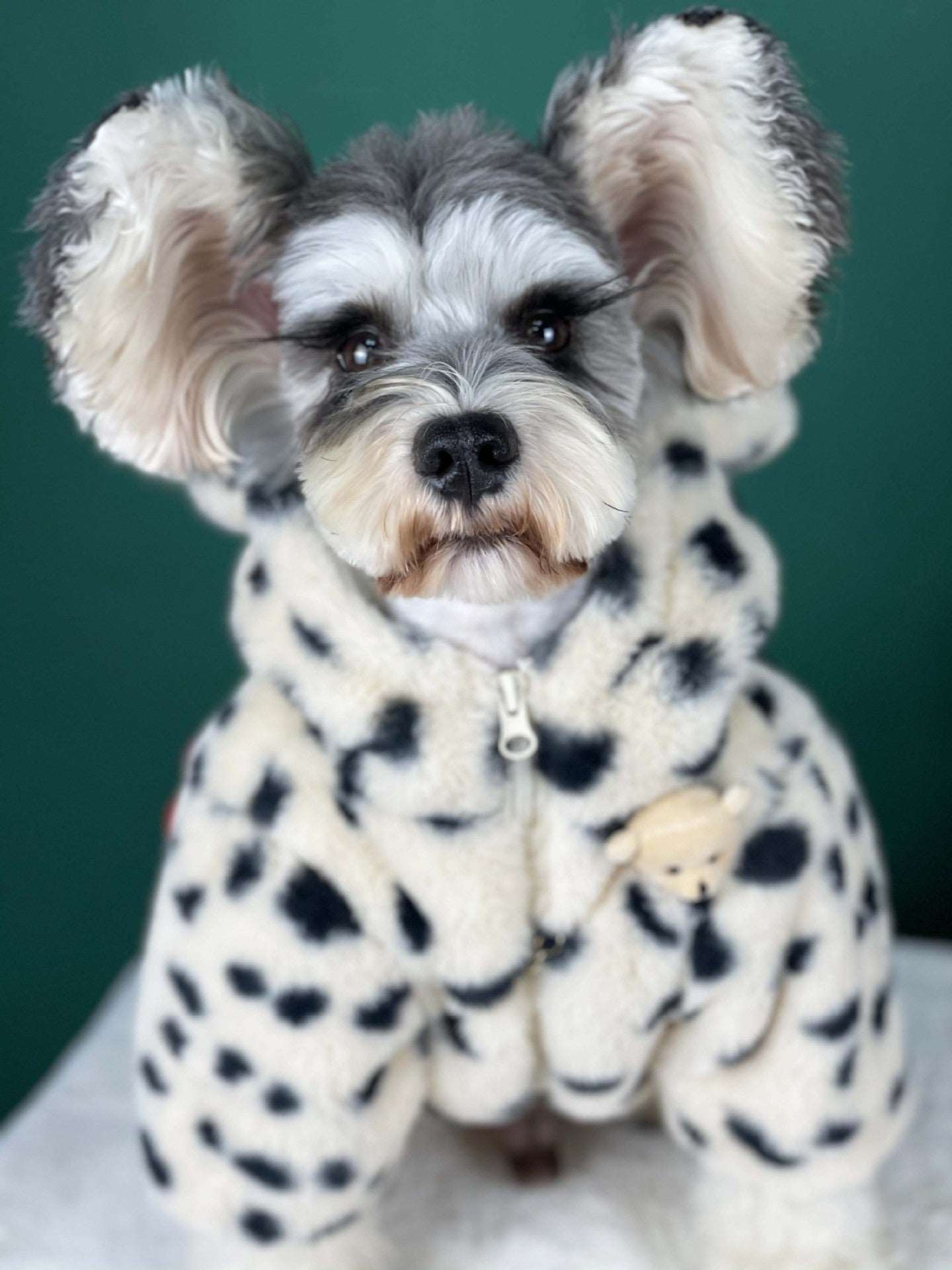 Dog Autumn And Winter Warm Spotted Plush Coat pet cloths