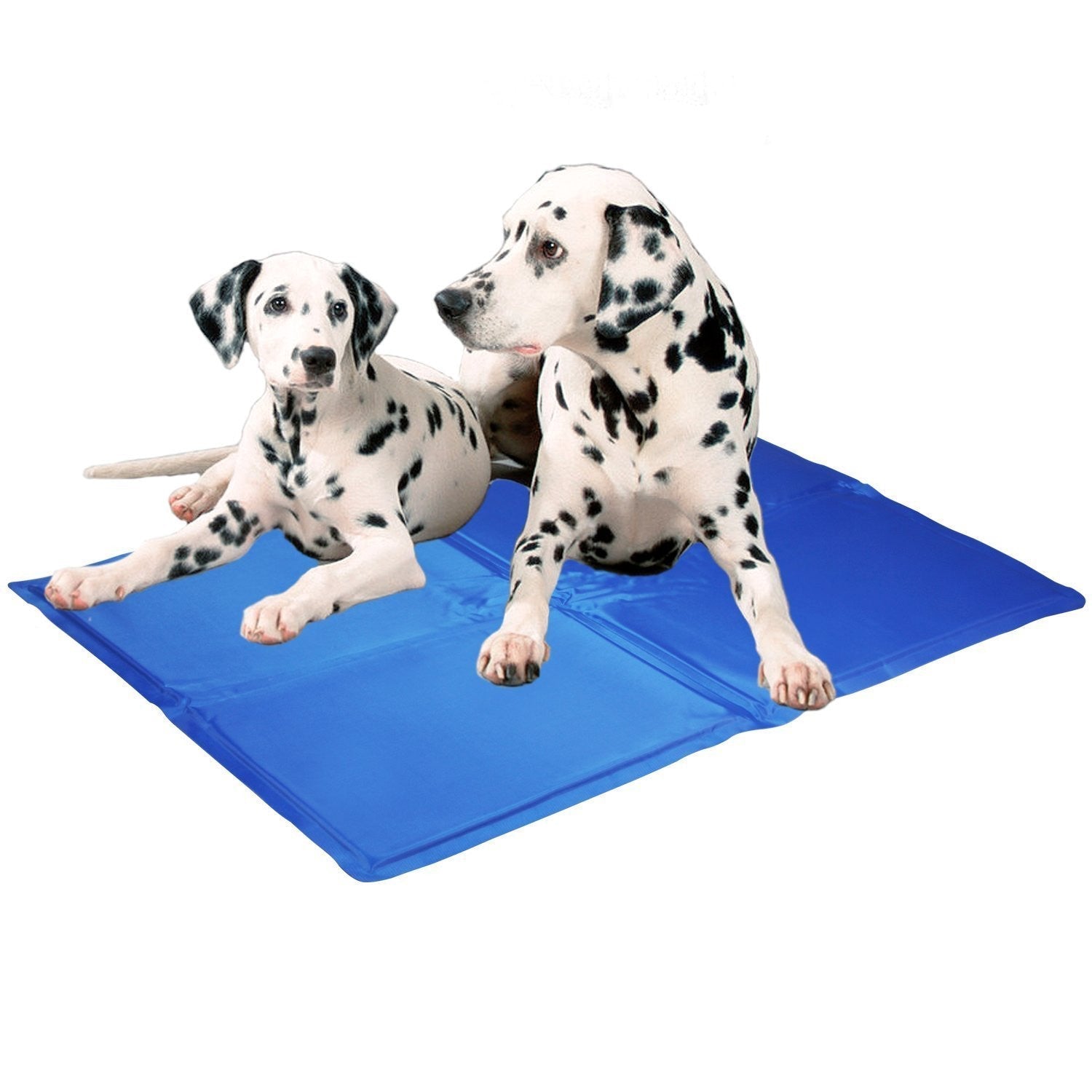 Pet Ice Pad Teddy Mattress Pet Cool Mat Bed Summer Cooling Dog Mat 0