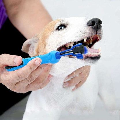 Random color toothbrush for pet Pet brush