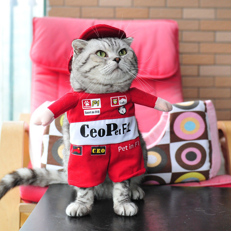 autumn pet cat costume halloween