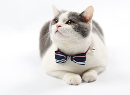 Pet tie Pet Products