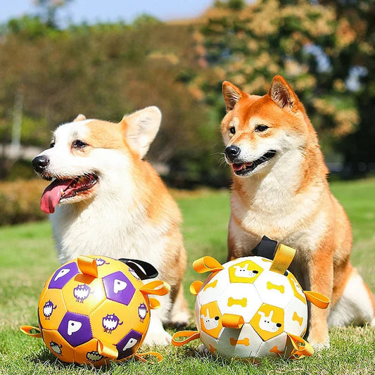 Dog Interactive Football Toys Children Soccer Dog Outdoor Training Balls Pet Products