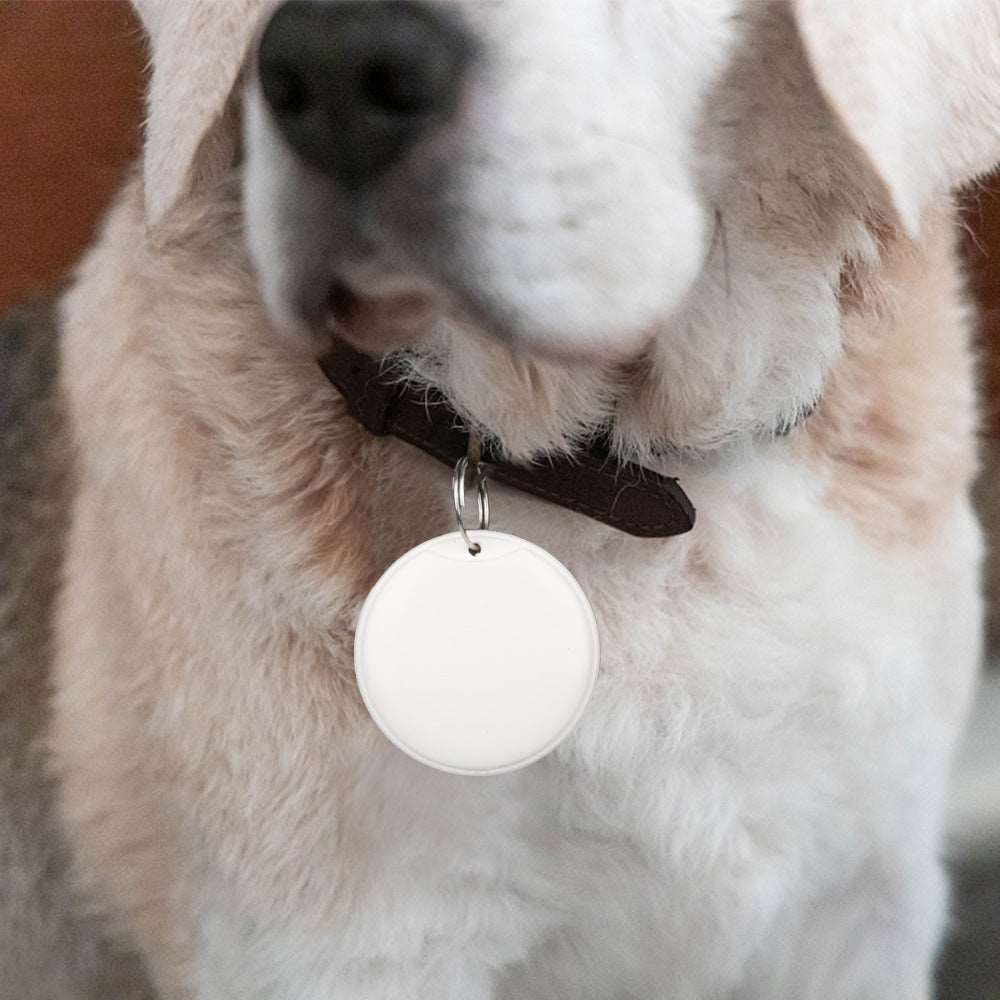 GPS Tracker For Pet / Child Smart Tag Pet GPS locator