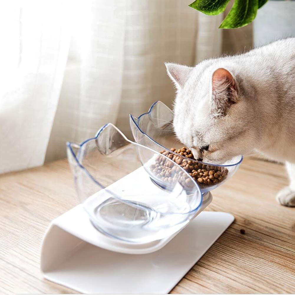 Non Slip Double Pet feeder Bowl With Raised Stand Pet feeder