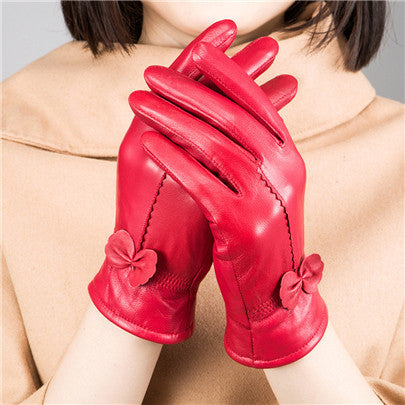 Woman Gloves apparels & accessories