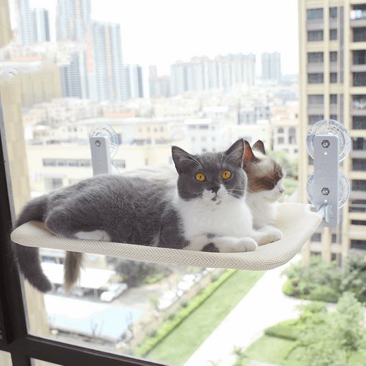 Cat Glass Hammock Pet bed